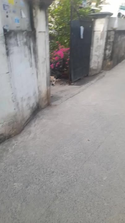 Đất thổ cư 275m² tại Đông Thạnh, Hóc Môn - Giá 7.1 tỷ, cơ hội đầu tư tuyệt vời!