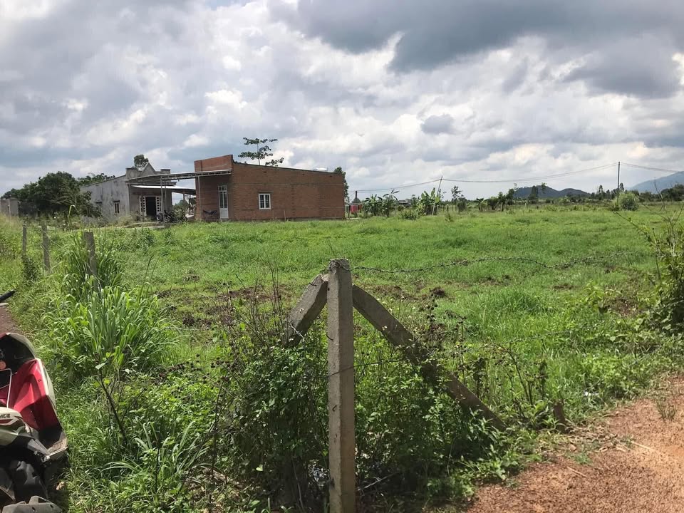 Đất nền lô góc mặt tiền bao la Xuân Đông Cẩm Mỹ 1399m² giá 1.65 tỷ - Sổ hồng chính chủ sẵn sàng giao dịch!