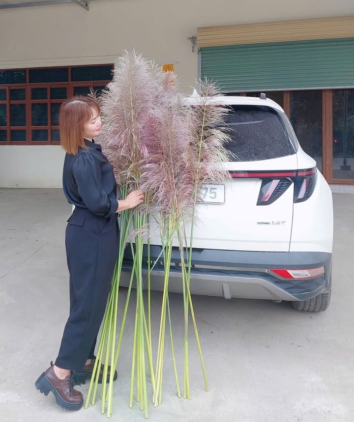 Đất thổ cư Ba Hàng Đồi Lạc Thủy 1425m² - Lô góc 2 mặt tiền, giá thỏa thuận!