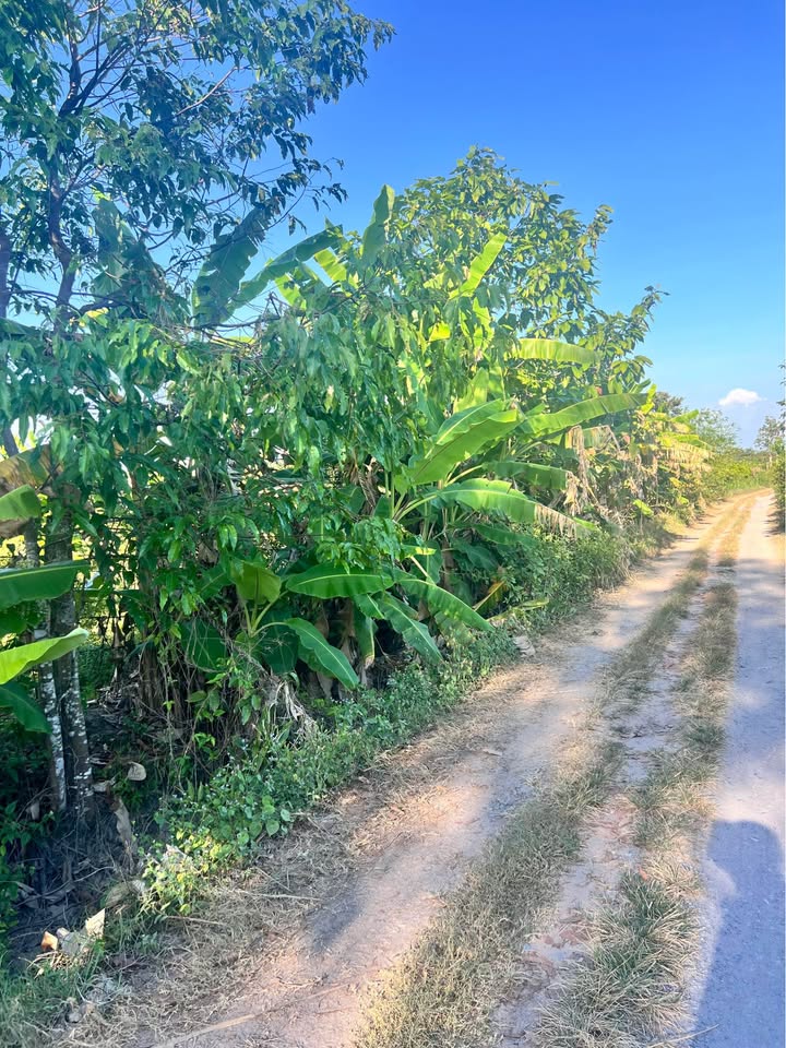 Đất nền nghỉ dưỡng tại phường Long Hoa, Tây Ninh, 7800m² - Giá chỉ 3.276 tỷ!