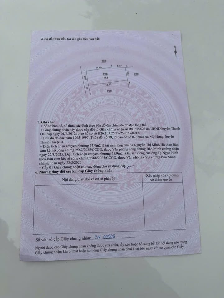 Đất nền Tam Hưng - Thanh Oai 111.8m² giá chỉ 8x triệu/m² - Đầu tư lý tưởng!