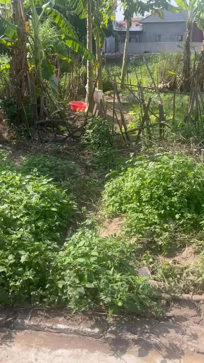 Đất thổ cư La Tiến Yên Ninh 90m² giá 1.35 tỷ - Cơ hội đầu tư hấp dẫn!