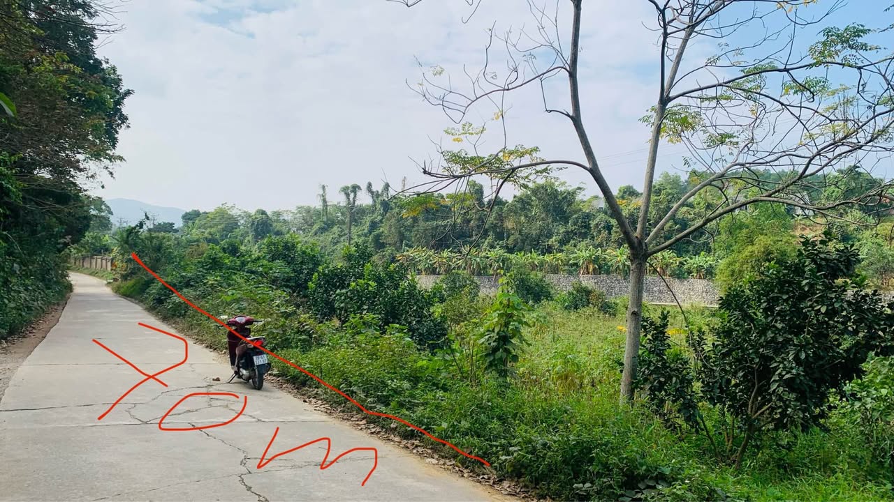 Đất nền bám hồ Liên Sơn, Lương Sơn 1700m² giá chỉ 5 triệu/m² - Cơ hội đầu tư sinh lời!