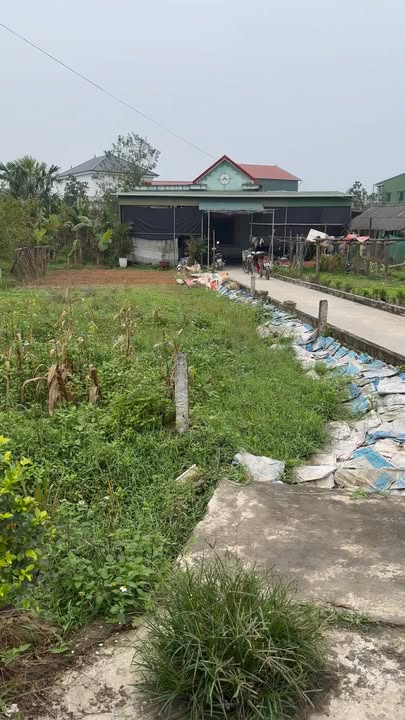 Đất thổ cư thôn Tam Đồng Cẩm Vịnh 208m² giá 1.3 tỷ - Cơ hội đầu tư sinh lời!