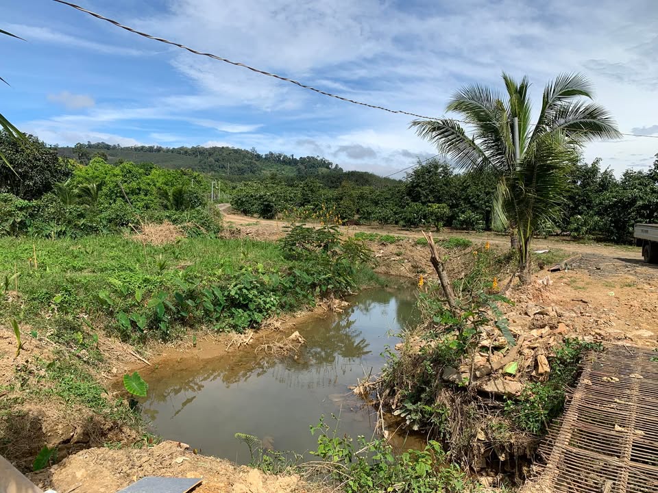 Đất nền Lộc Bảo Bảo Lâm 25.000m² giá 2.4 tỷ - Hỗ trợ vay ngân hàng!