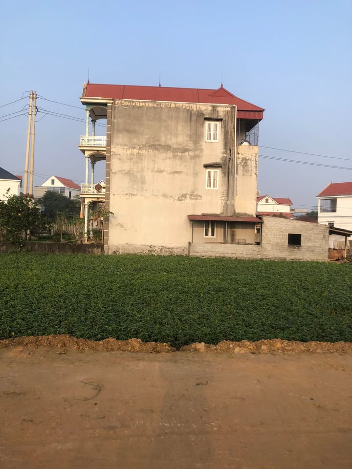 Lô đất đẹp mặt đường Tỉnh lộ 317, Đồng Trung, Thanh Thủy, Phú Thọ - Tiềm năng kinh doanh lớn chỉ 1xxx triệu