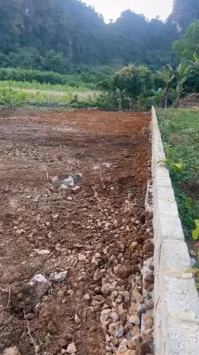 Đất mặt đường nhựa Hữu Lợi, Yên Thủy 214m² giá 585 triệu - Đầu tư sinh lời ngay!