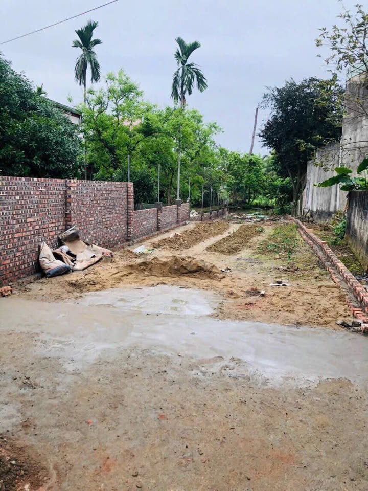 Đất nền 159,9m² tại TDP 7, phường An Dương, Hải Phòng - Đầu tư lý tưởng!