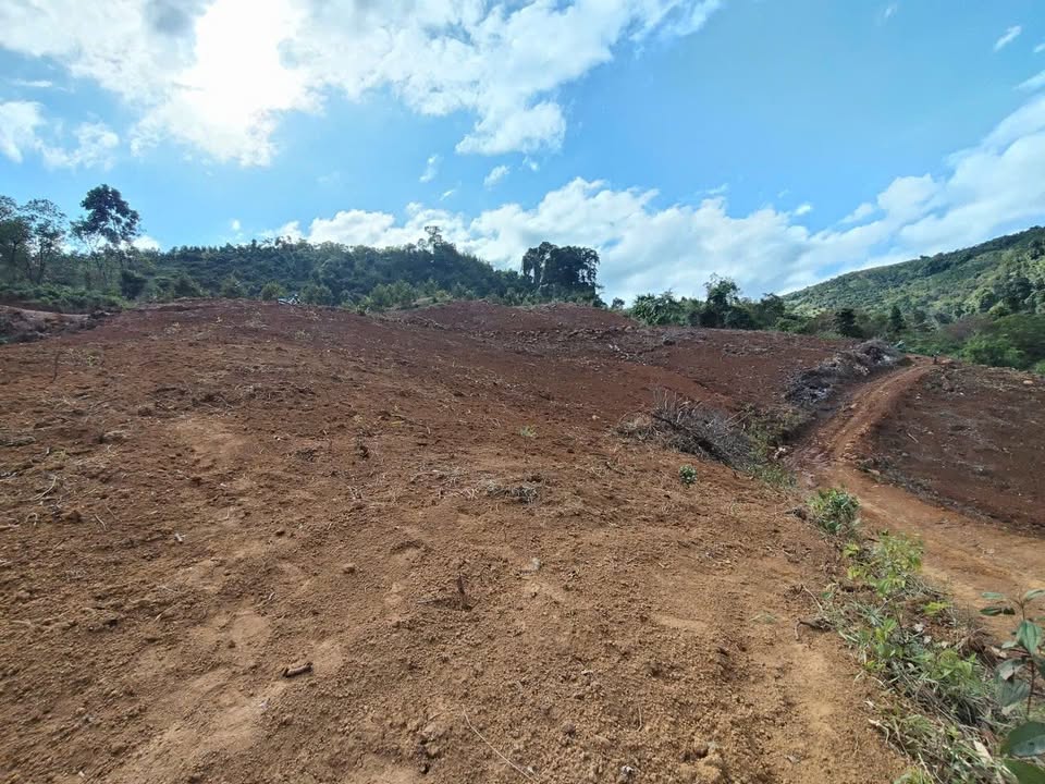 Đất trống 3ha Lộc Bắc, Bảo Lâm - Đường ô tô vào tận nơi chỉ 3 tỷ!