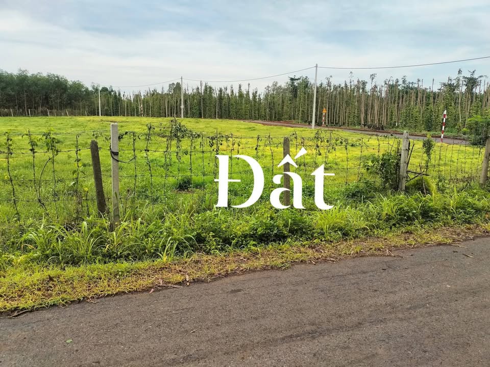 Đất nền Bình Giã, Châu Đức, Bà Rịa - Vũng Tàu 3500m² giá 5.2 tỷ - Đầu tư sinh lời ngay!