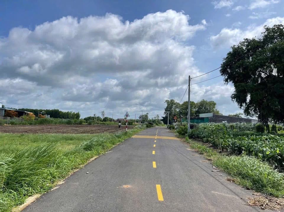 Đất nền Đất Đỏ 613m² giá 1.5 tỷ - Lý tưởng đầu tư hoặc làm vườn!