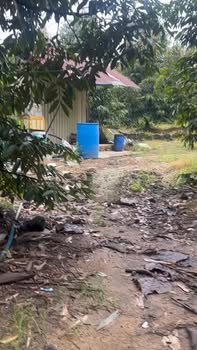 Farm đất thổ cư 5400m² tại Tân Phú, giá chỉ 1.6 tỷ - Cơ hội đầu tư tuyệt vời!