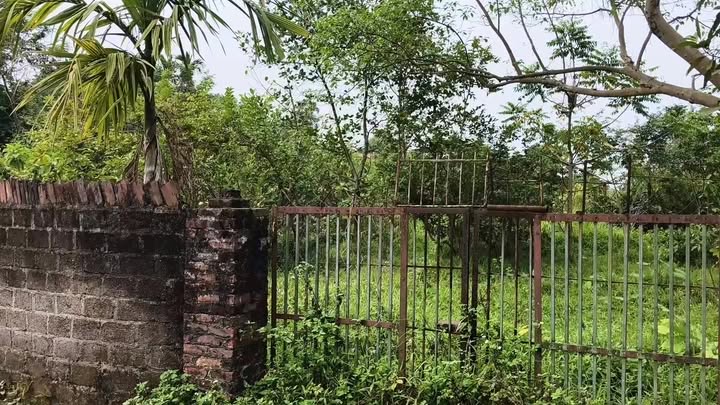 Đất nền Phố Cò Sông Công 649m² giá 1 tỷ - Cơ hội đầu tư tuyệt vời!