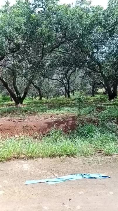 Đất vườn Bù Gia Mập - 2ha mặt tiền bê tông - Giá chỉ 2.3 tỷ!