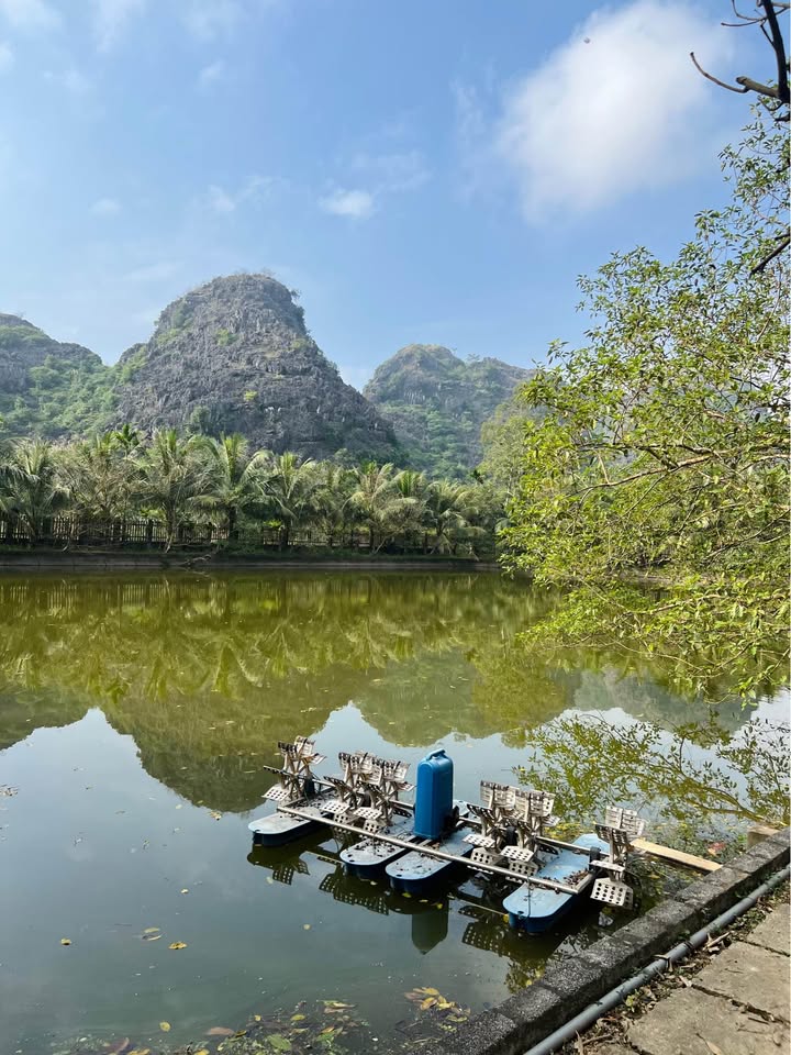 Đất thổ cư 720m² tại Trường Yên, Hoa Lư, Ninh Bình giá 35 tỷ - Gần Tuyệt Tình Cốc!