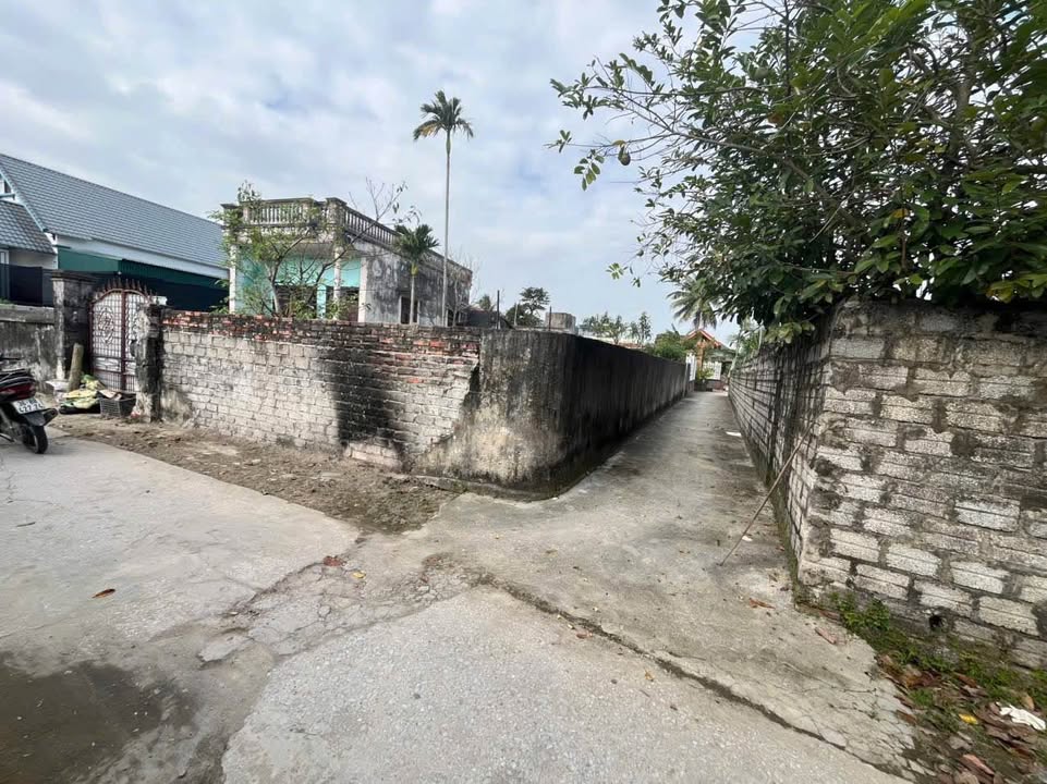 Đất thổ cư Quảng Tâm, 130m² giá 1 tỷ - Đầu tư sinh lời ngay!