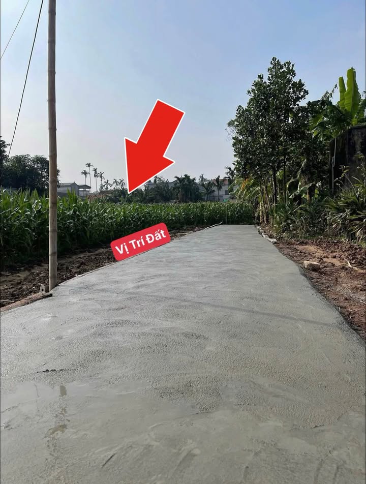 Lô đất 68m² tại Yên Nam, giá chỉ 1.1 tỷ - Cơ hội đầu tư tuyệt vời!