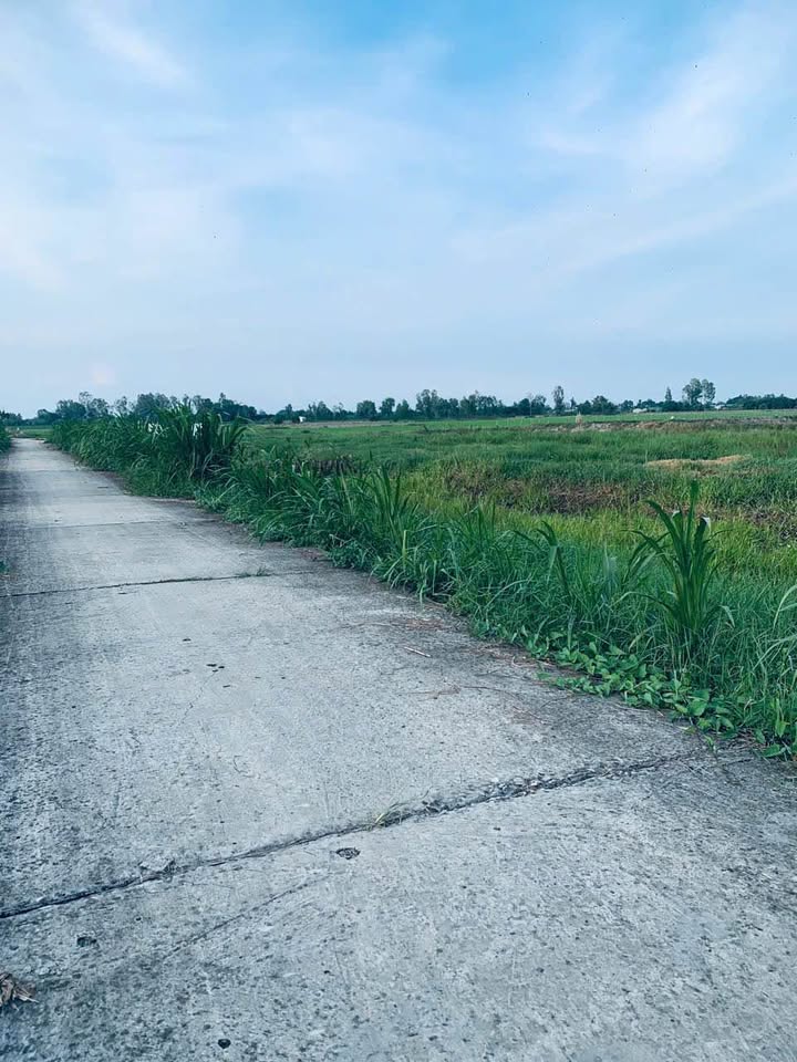 Đất thổ cư Mỹ An Hưng 700m² giá 390 triệu - Cơ hội đầu tư tuyệt vời!