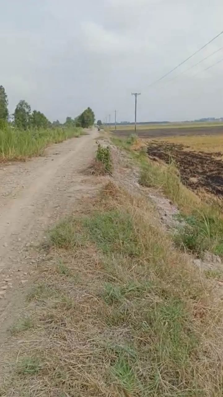 Đất nền Phú Thành B, Tam Nông 34,000m² giá 4.42 tỷ - Vị trí đắc địa cho đầu tư!