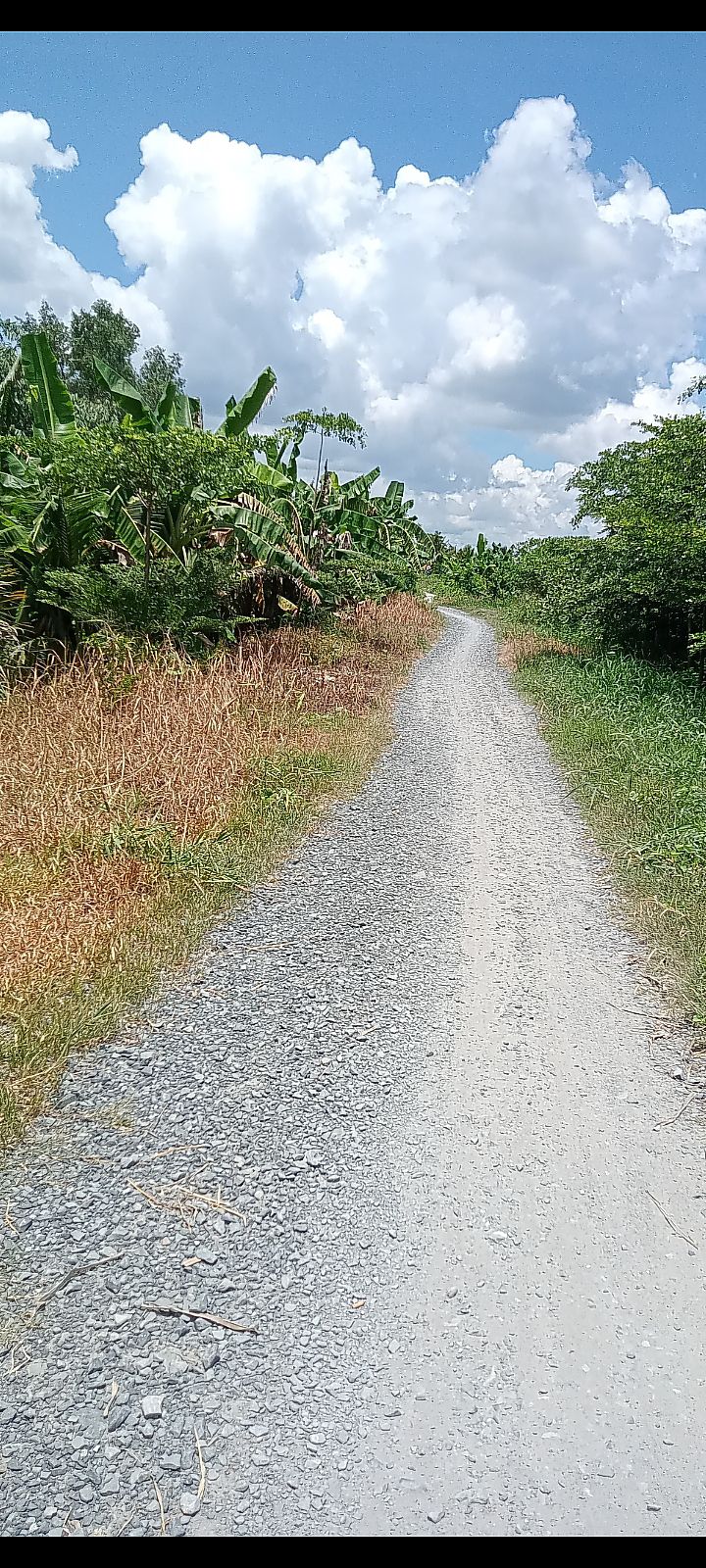 Đất lúa 10 công mặt tiền xã Tân Phú, Sa Đéc - Giá chỉ 2.2 tỷ