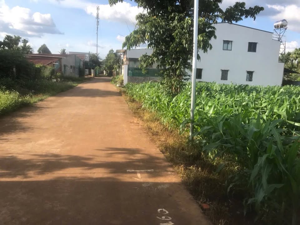 Đất nền Ea Pôk 200m² giá 1.4 tỷ - Vị trí đắc địa ngay trung tâm!