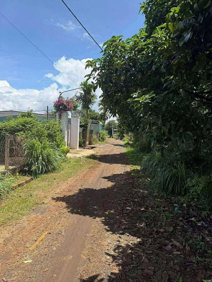 Đất nền Quảng Phú Cư M'gar 160m² giá 780 triệu - Đầu tư sinh lời hấp dẫn!