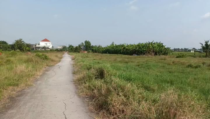 Lô đất thổ cư 250m² tại Ấp Muôn Nghiệp, Gò Công - Giá 900 triệu, thương lượng ngay!
