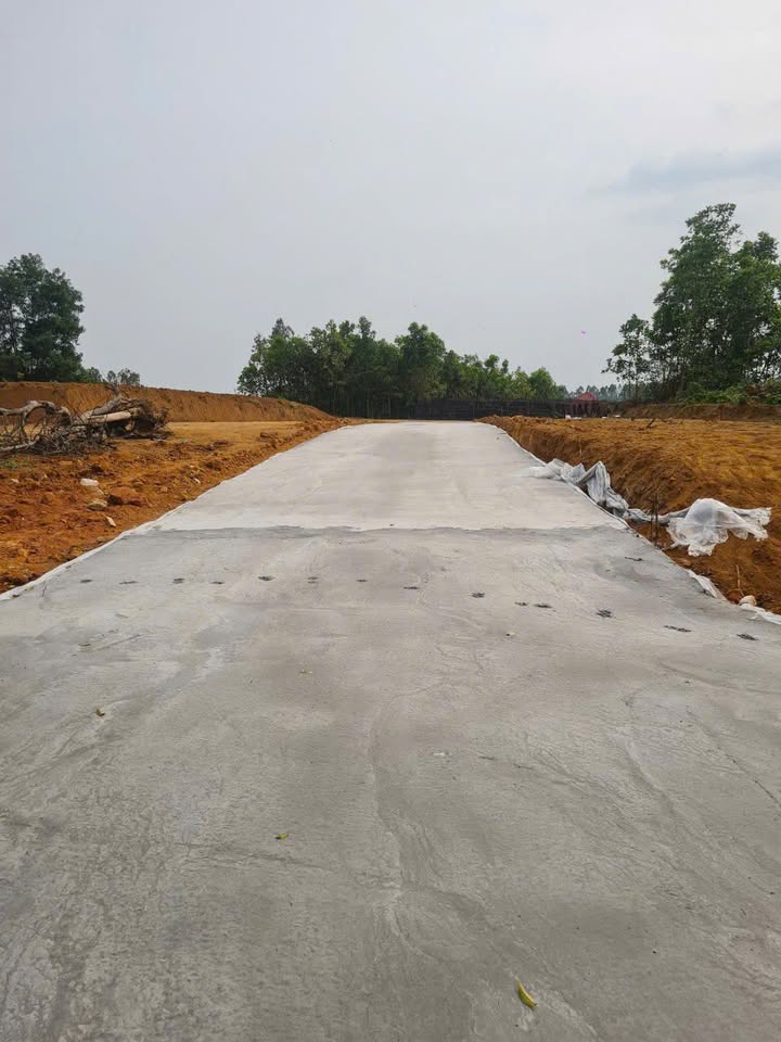 Đất nền 120m² khu phố 5, Phường Phong Châu - Giá chỉ từ 6X triệu VND, cơ hội đầu tư hấp dẫn!