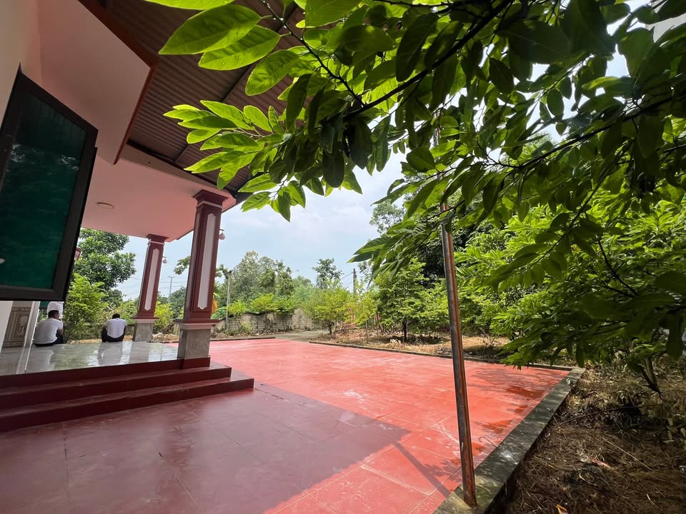 Nhà cấp 4 884m² tại Chu Hóa, Việt Trì - Nhiều tiện ích, giá chỉ 4 tỷ!