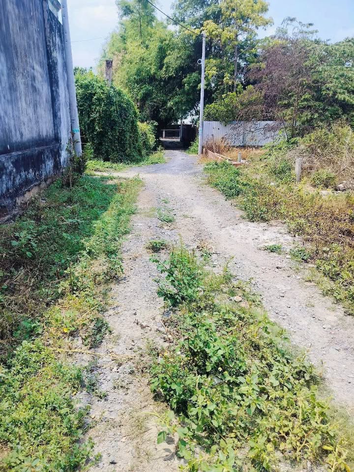 Đất thổ cư Tân Thạnh Đông Củ Chi 124m² giá 1.9 tỷ - Khu dân cư hiện hữu