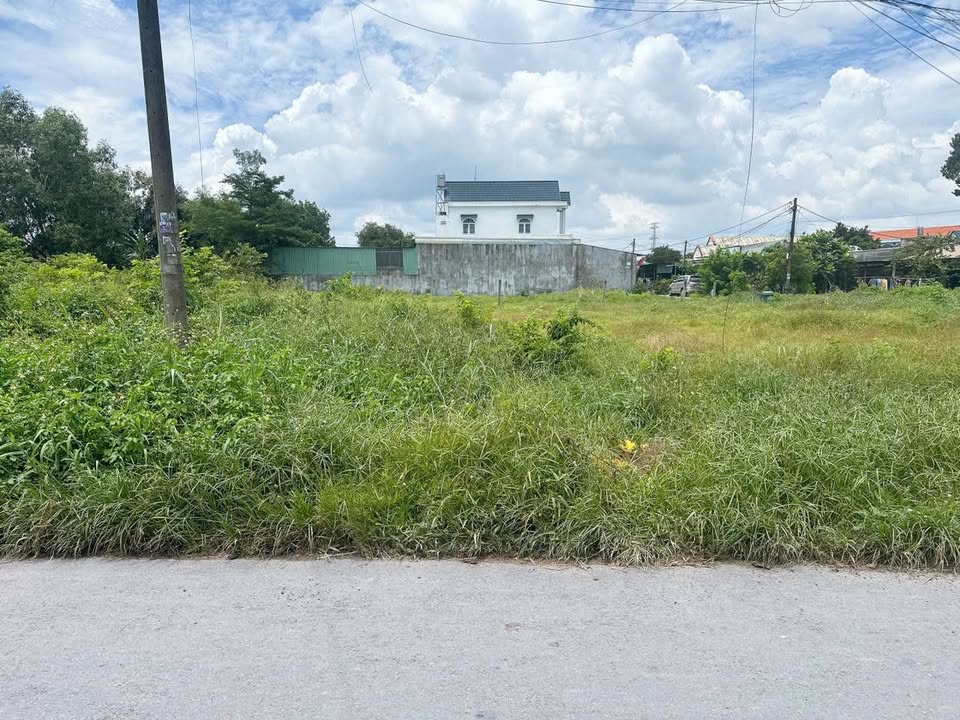 Đất mặt tiền Đường 130, xã Tân Thạnh Đông, 110m² - Sổ đỏ chính chủ, giá 2.5 tỷ!