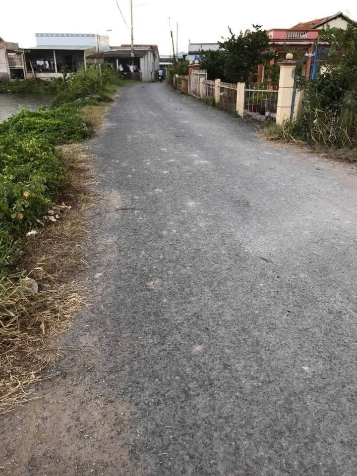 Đất mặt tiền đường nhựa ấp 4, Tân Ân, Cần Đước 2600m² giá 1.6 tỷ - Đầu tư sinh lời tốt!