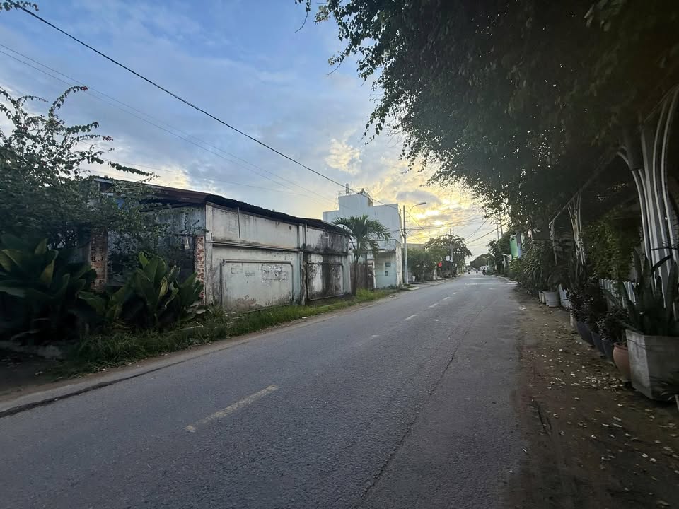 Đất nền Hóc Môn 500m² giá 15 tỷ - Đầu tư sinh lời bền vững!