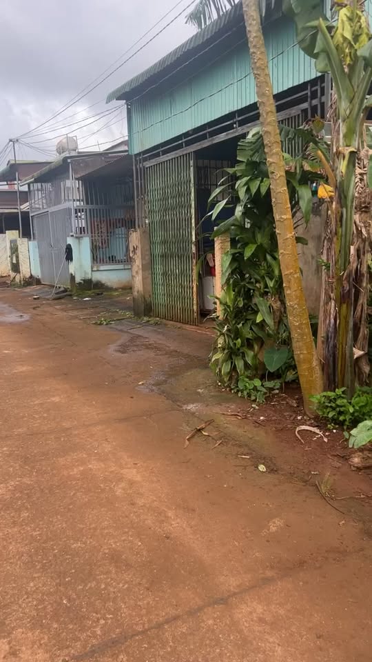 Đất nền Khu Đấu Giá Phú Lộc 159.8m² giá 120 triệu - Cơ hội đầu tư tốt