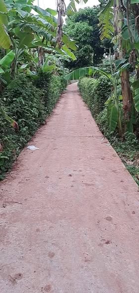 Đất nền Long Tân 180m² giá 600 triệu - Sổ đỏ chính chủ, đầu tư an toàn!