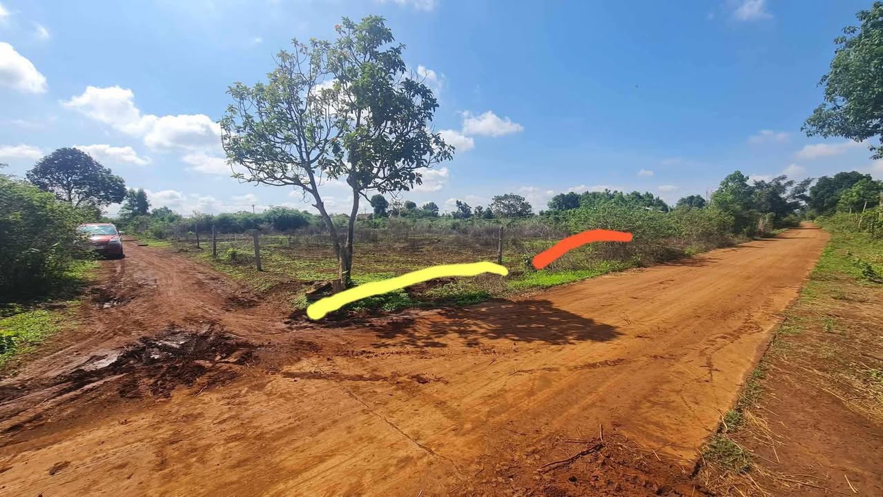 Đất nền Biển Hồ Pleiku 115m² - Vị trí đẹp, pháp lý rõ ràng