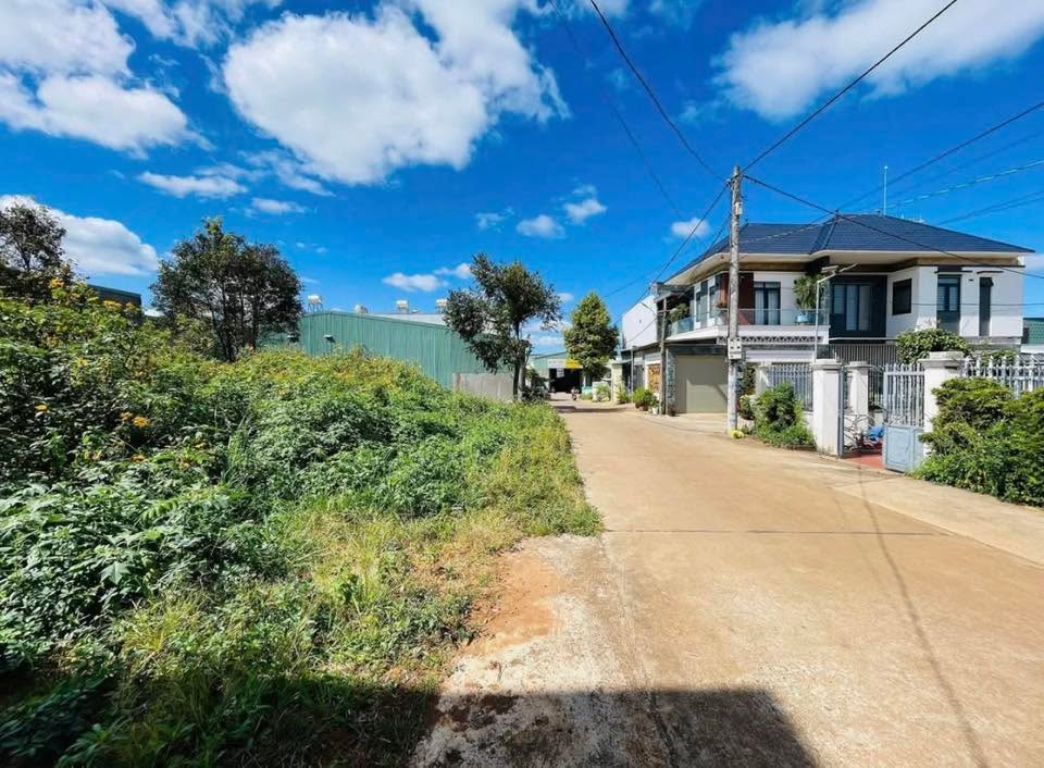 Đất hẻm chính đường Trường Chinh, Hội Phú, Gia Lai 100m² giá 1.5 tỷ - Hướng Bắc, ô tô né nhau!