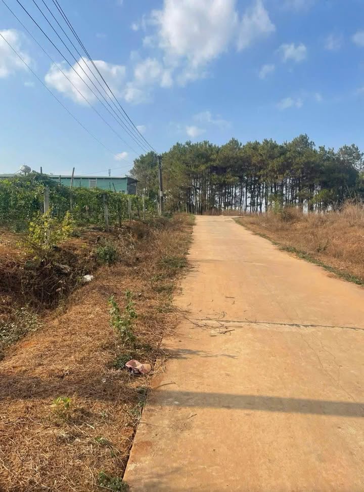 Đất nền Hội Phú, Pleiku 125m² giá 300 triệu - Cơ hội đầu tư hấp dẫn!