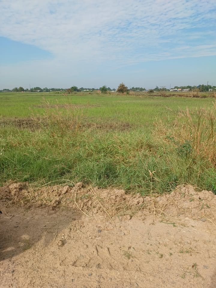 Đất nền Hậu Nghĩa Long An 1044m² giá 11 tỷ - Cách Vinhomes chỉ 700m!