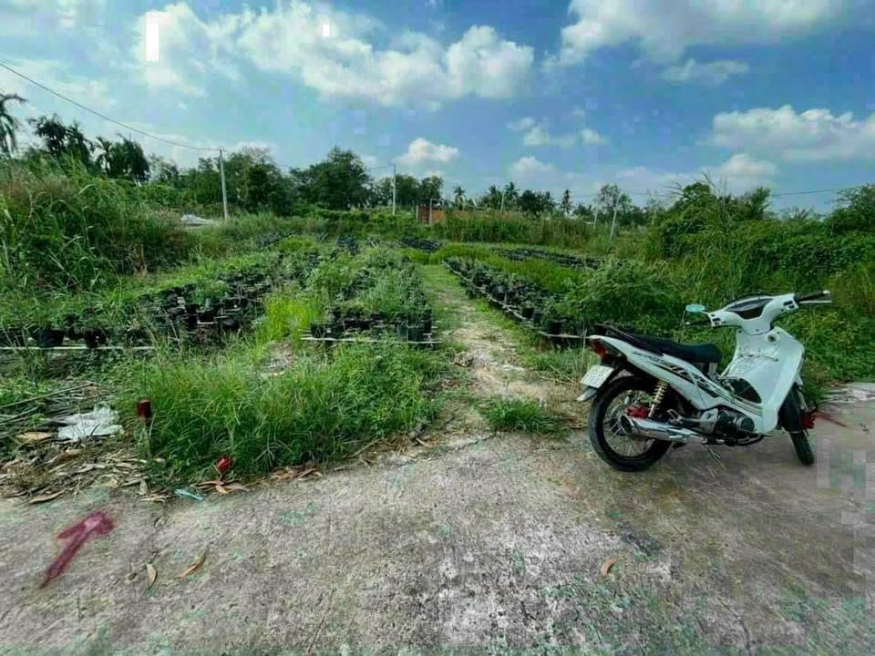 Đất nền Ninh Kiều Cần Thơ 67m² giá 490 triệu - Gần chợ Bà Bộ, xe ô tô tới nơi!