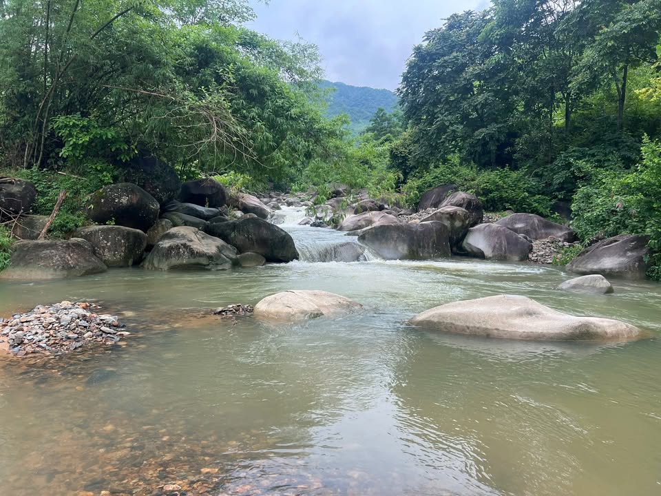 Đất nền 4600m² tại Kim Bôi Hòa Bình - Tiềm năng đầu tư đẳng cấp!