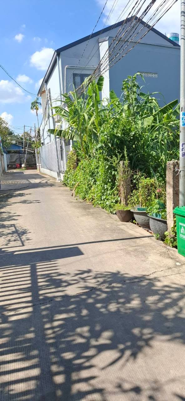 Đất thổ cư An Thạnh, Thuận An 198m² giá 3.1 tỷ - Đầu tư sinh lời ngay!