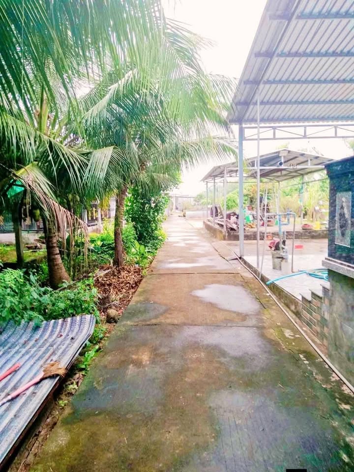 Đất nền Trường Khánh Sóc Trăng 110m² chỉ 150 triệu - Đầu tư sinh lời ngay!