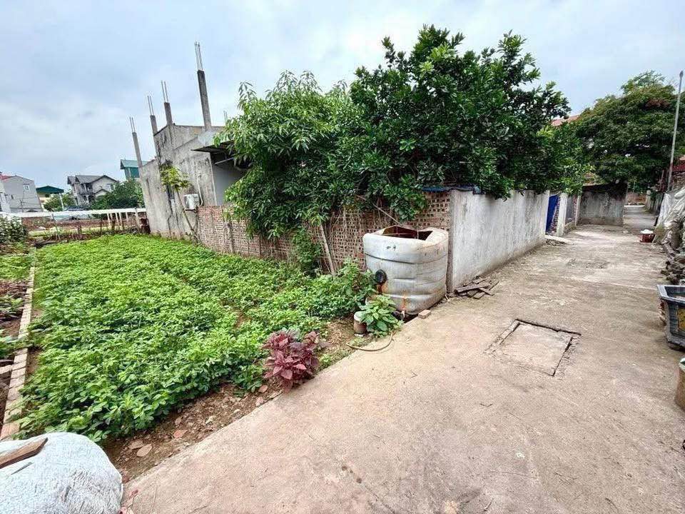 Đất nền 94m² xã Thuận An, Gia Lâm - Giá chỉ 4x triệu/m², Sổ đỏ chính chủ!