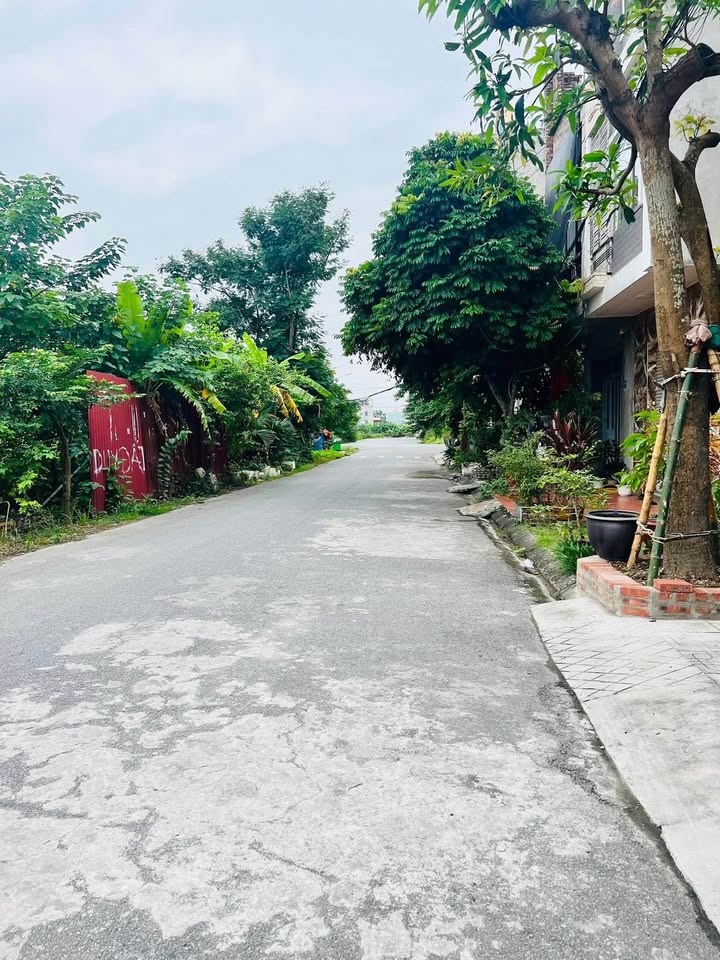 Đất nền tái định cư Bạch Mai, Hải Phòng 54m² - Hướng Đông, giá thỏa thuận