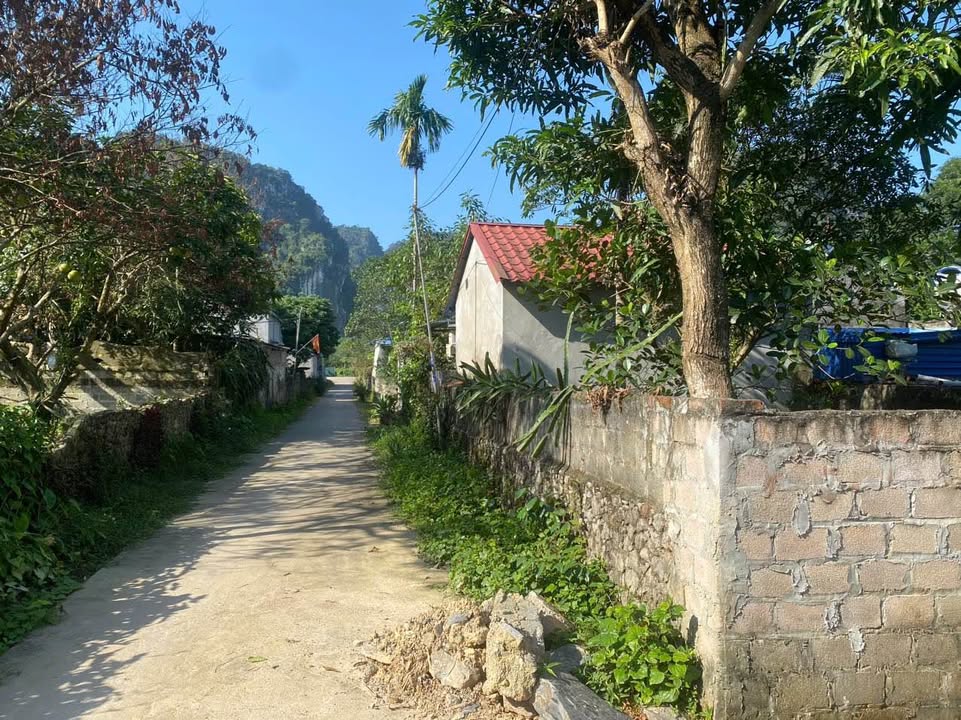 Đất nghỉ dưỡng Lương Sơn 548m² giá 2.74 tỷ - Cơ hội đầu tư hiếm có!