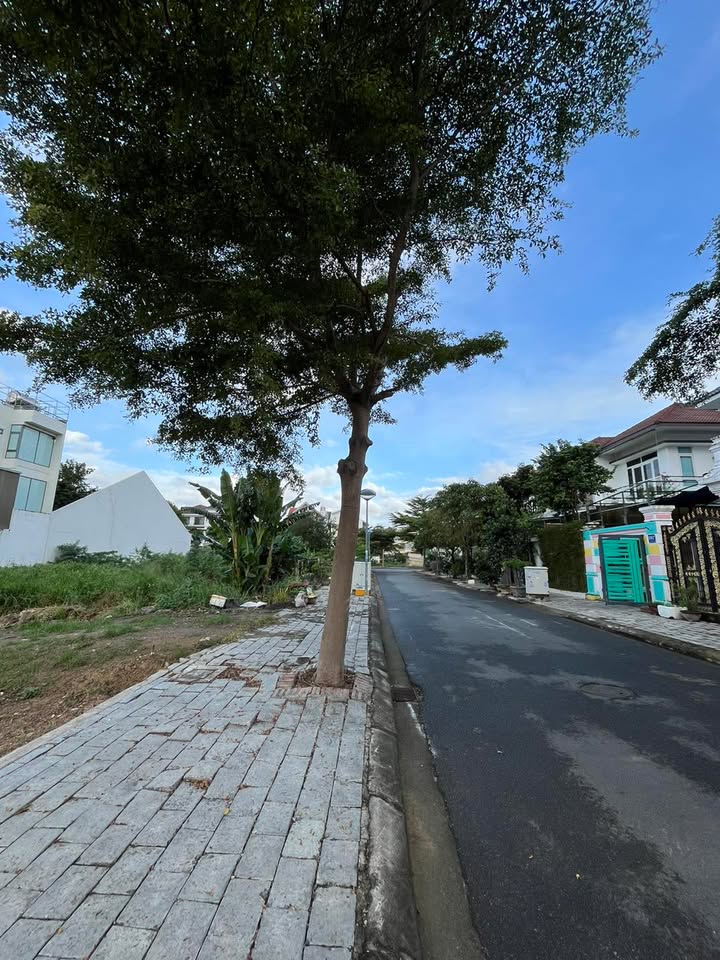 Đất lô biệt thự An Bình Tân Nha Trang 264m² giá 11.88 tỷ - Vị trí đắc địa, cơ hội đầu tư tốt!