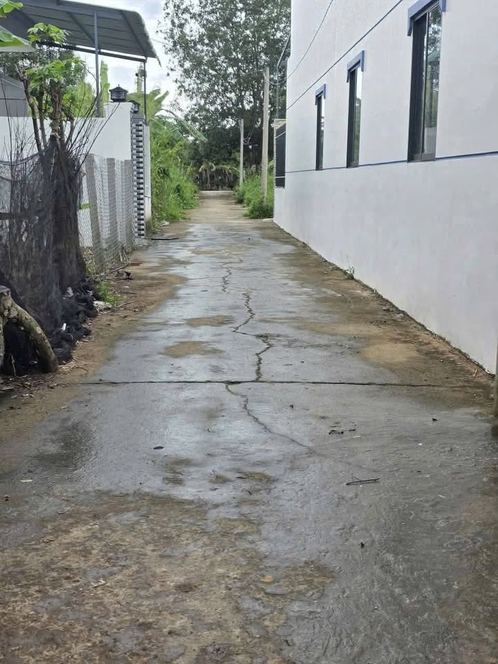 Đất nền Phú Tân Bến Tre 95m² giá chỉ 300 triệu - Sổ đỏ chính chủ!