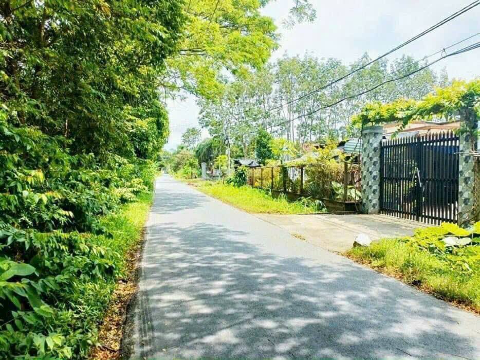 Đất nền mặt tiền đường Trương Thị Kiện, xã Thái Mỹ, 1030m² giá 3 tỷ - Cơ hội đầu tư tuyệt vời!