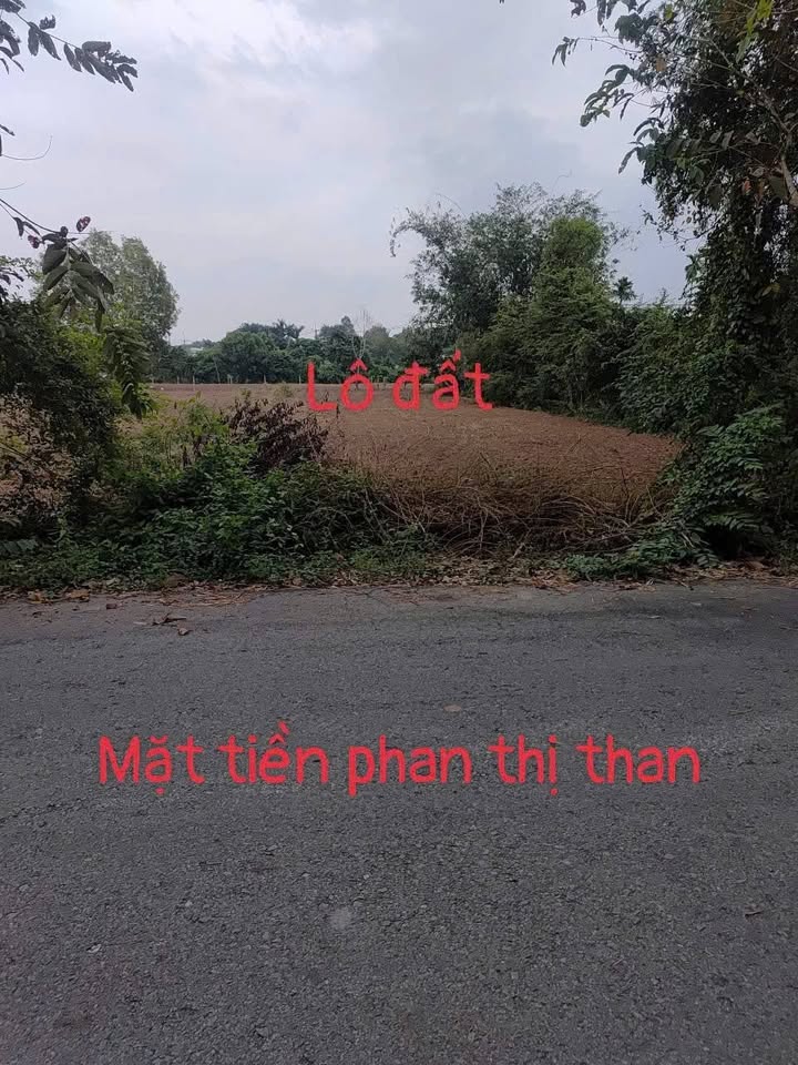 Đất nền Củ Chi 3100m² giá 20 tỷ - Đầu tư sinh lời tại An Nhơn Tây!